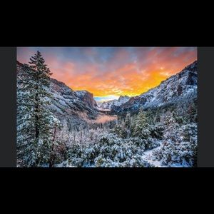 Meet your Posher, Binh